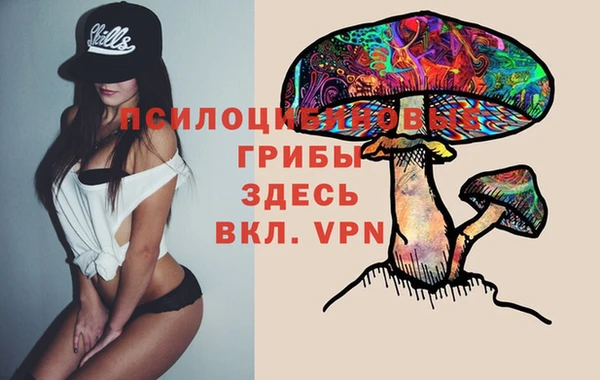 гидропоника Арсеньев