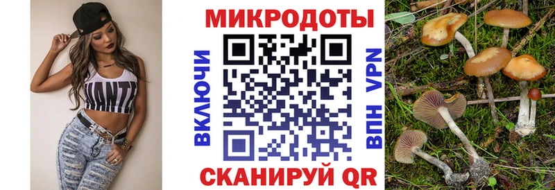площадка какой сайт  mega tor  Красный Сулин  наркошоп  Галлюциногенные грибы мицелий 
